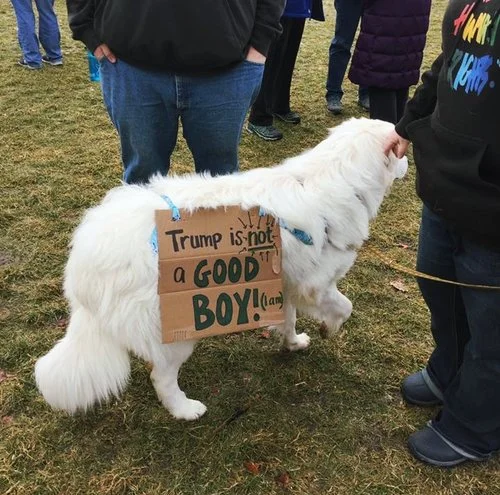 Why Making a Witty Sign and Going to the Women’s March Just Isn’t Enough