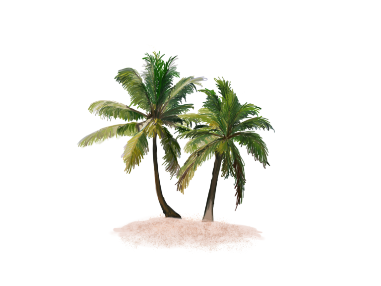 Destination: Miami