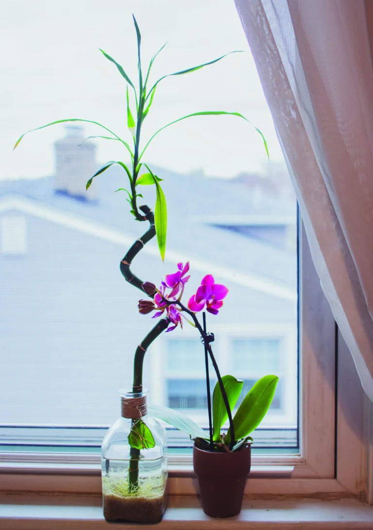 Bridging The Gap