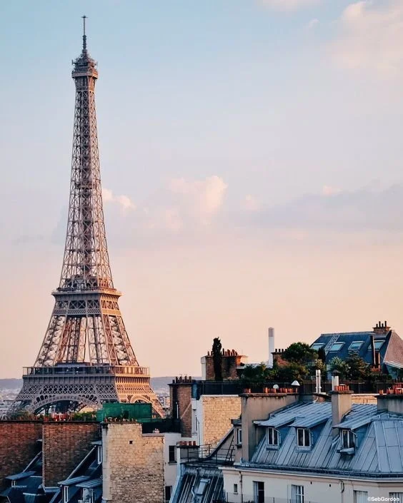 Mommy Issues in Paris
