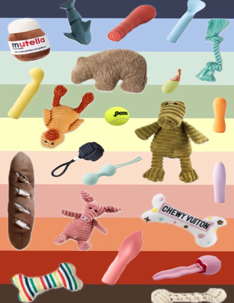 Don’t Dog on Sex Toys