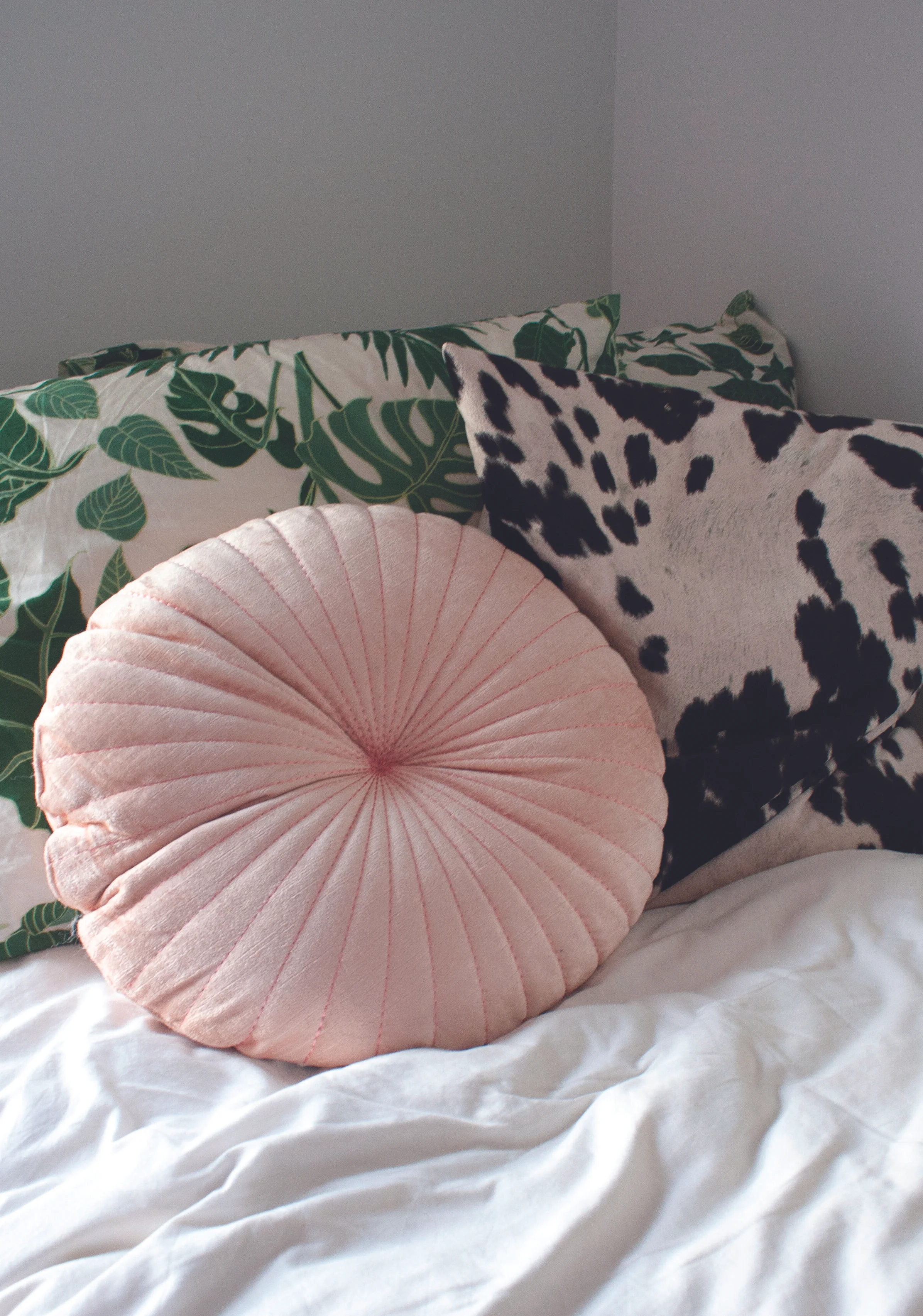  Photography by Lily Walsh 