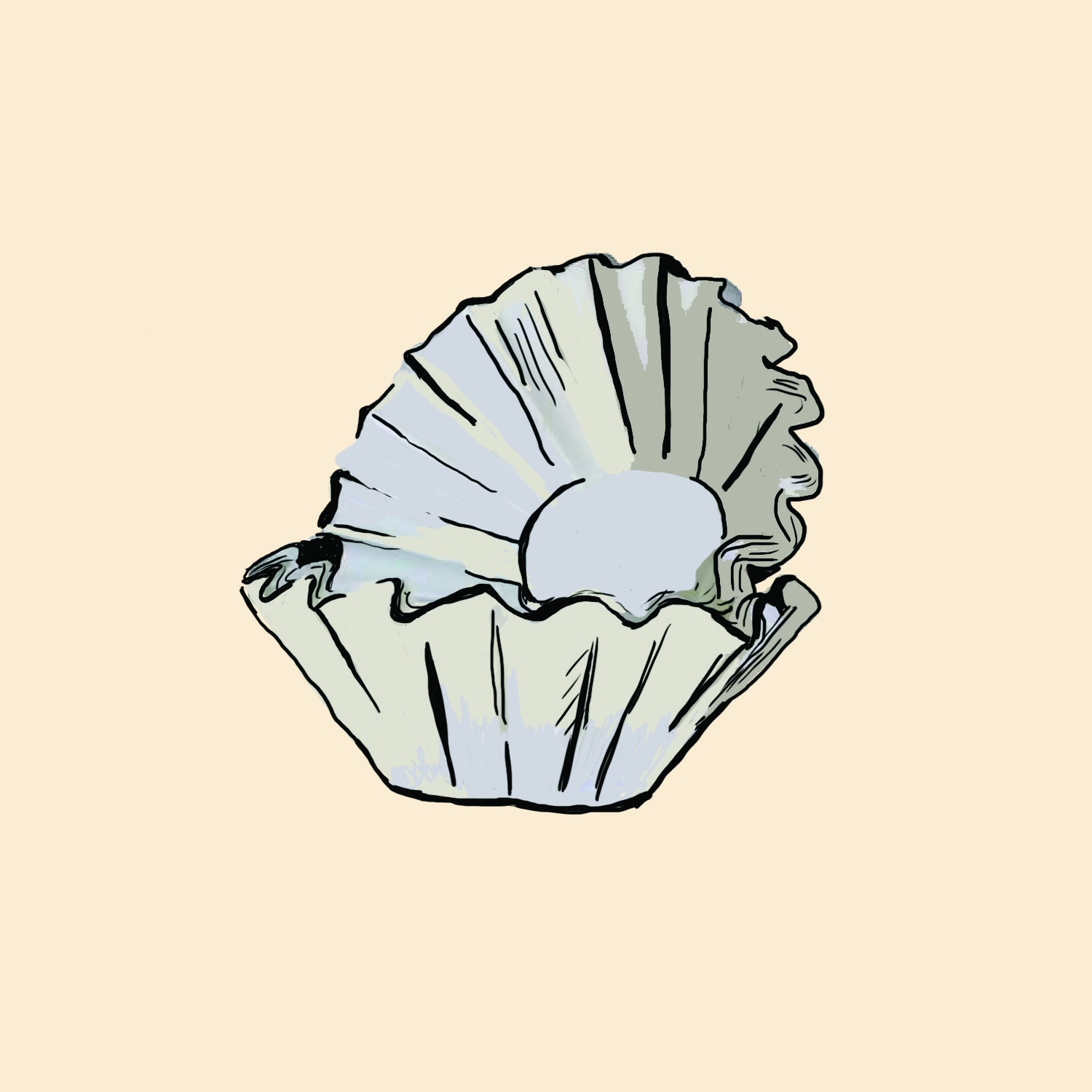 Coffee Filters