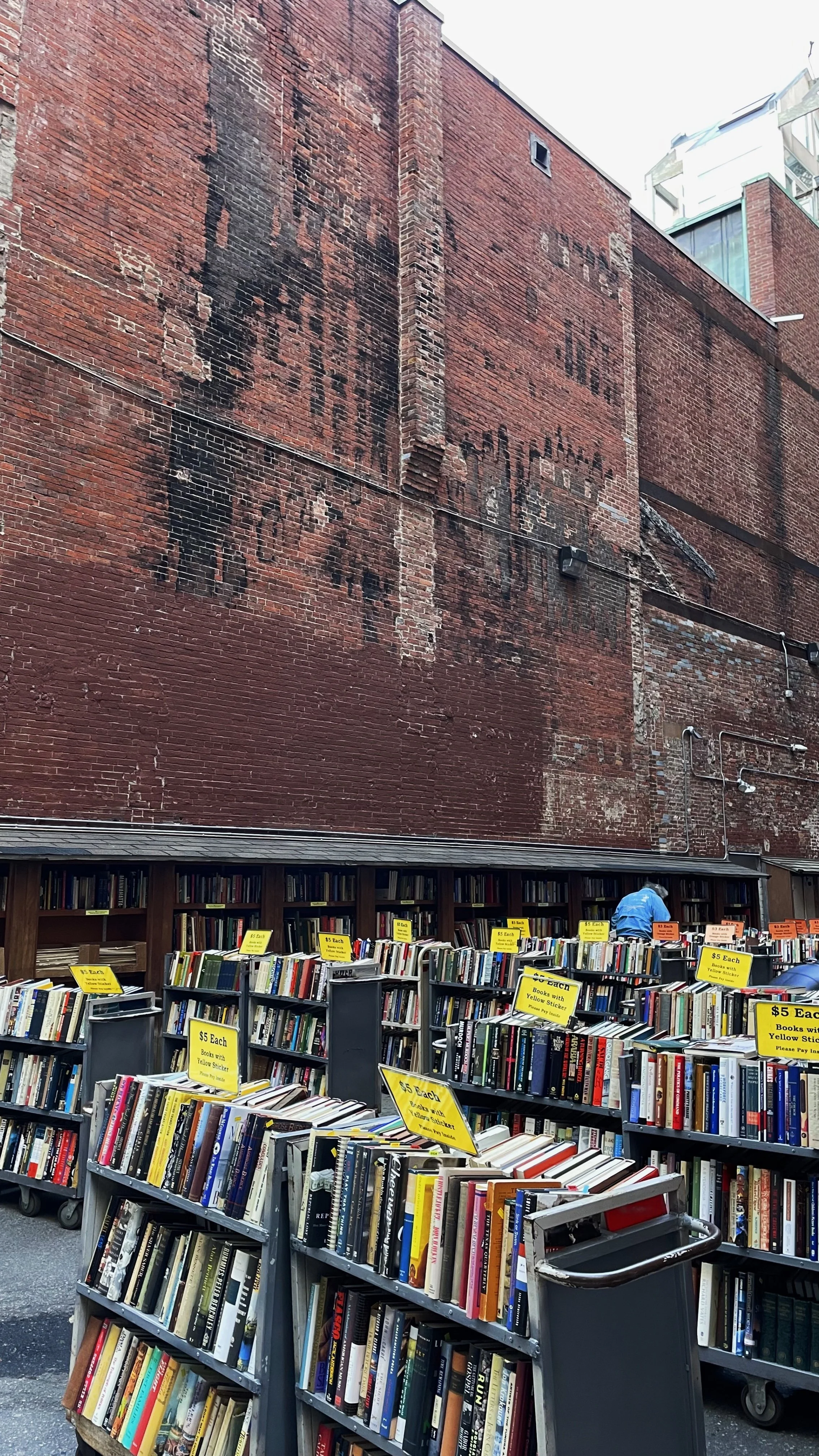 The outdoor book lot! Probably my favorite section of the store.