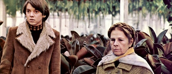 A still from Harold and Maude.
